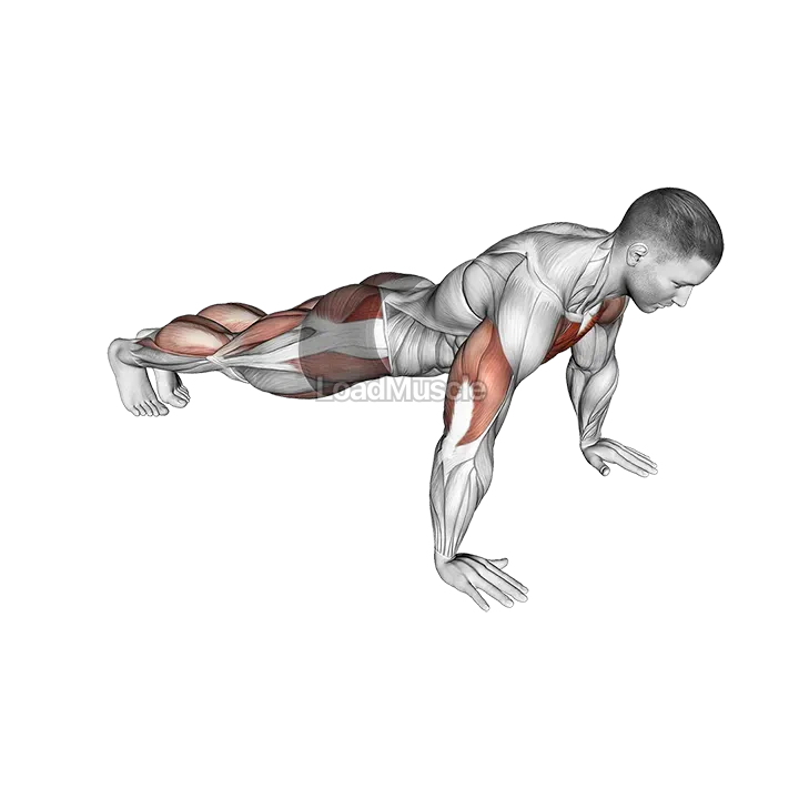 Push-up Jack demonstration