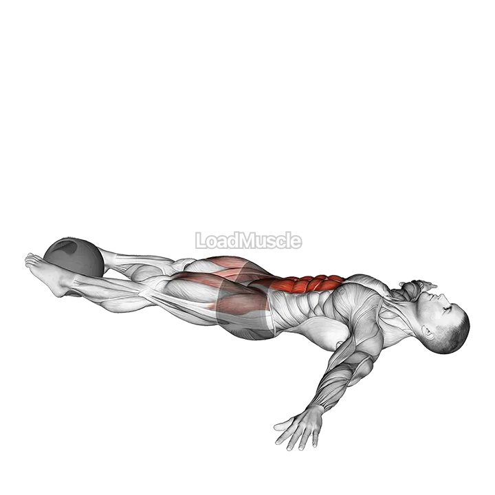 Medicine Ball Lying Leg Raise demonstration