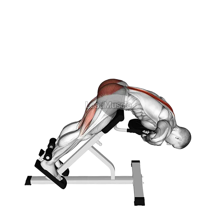 Weighted Hyperextension demonstration