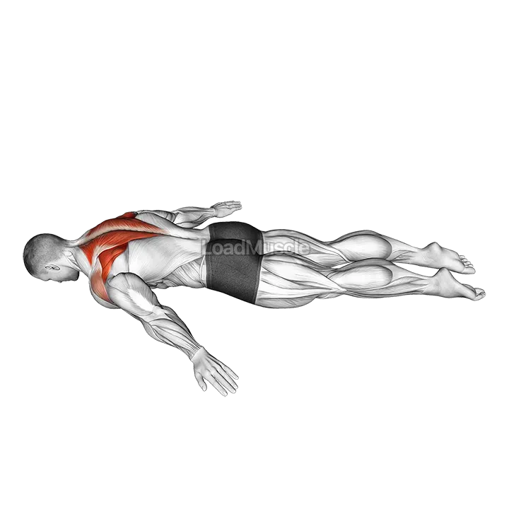 Lying Prone A demonstration