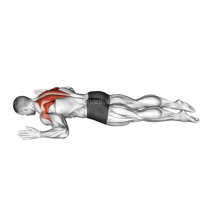 Lying Prone W demonstration