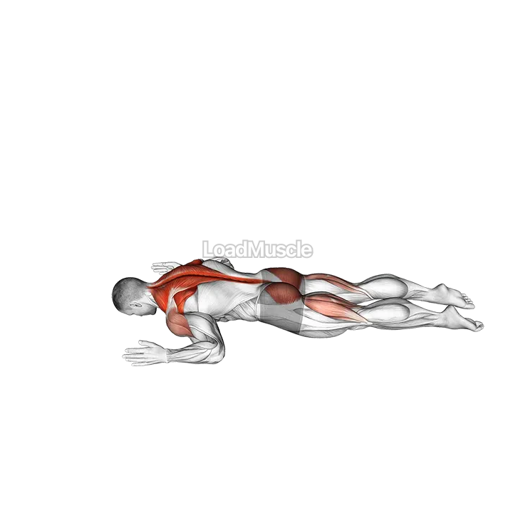 Superman W to Y demonstration