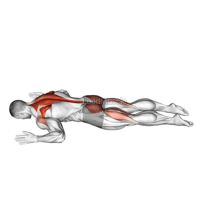 Superman W demonstration