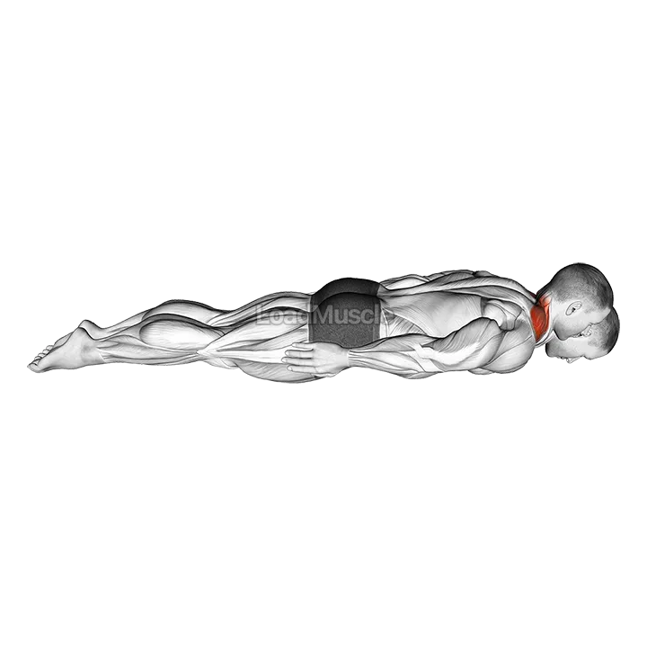 Prone Cervical Extension Isometric Hold demonstration
