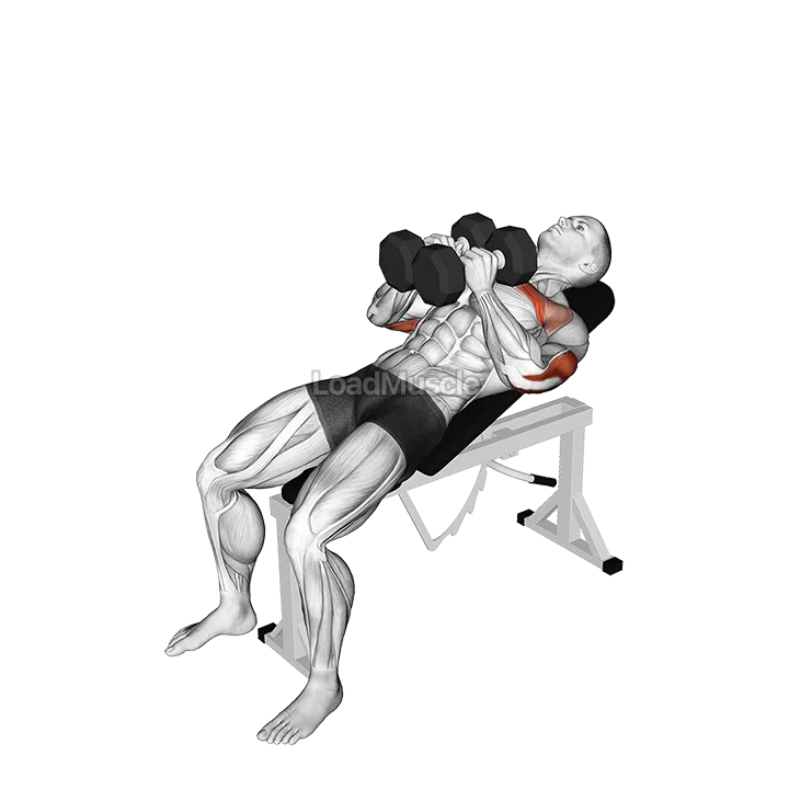 Dumbbell Incline Squeeze Press demonstration