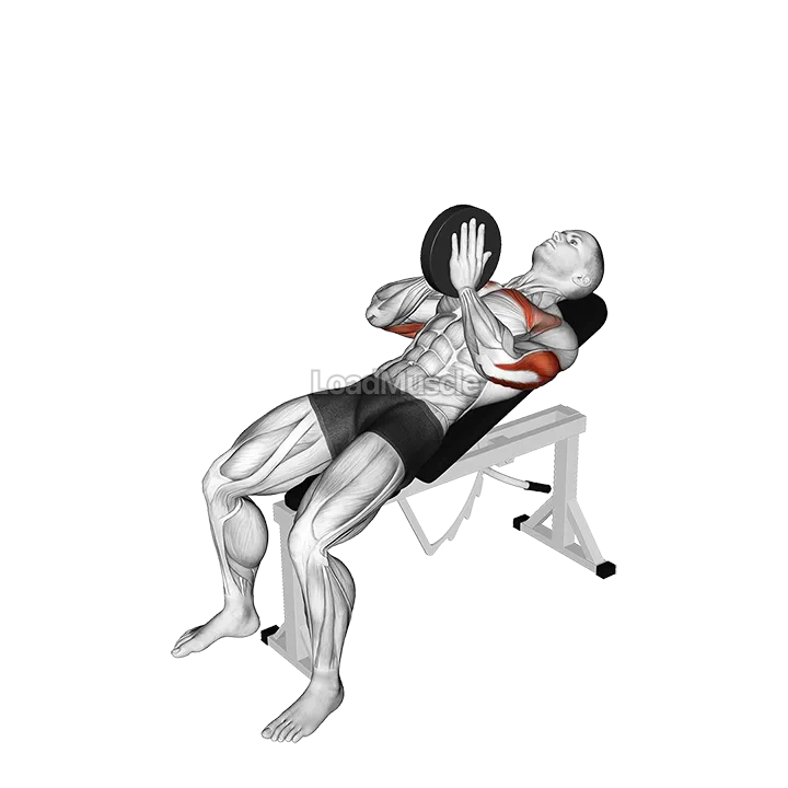 Weighted Incline Svend Press demonstration