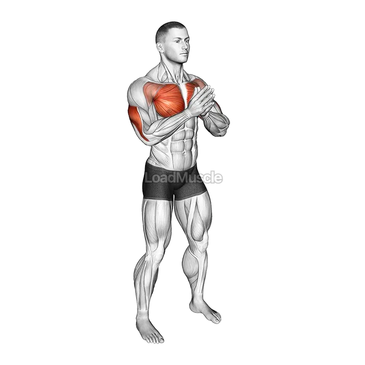 Bodyweight Svend Press demonstration