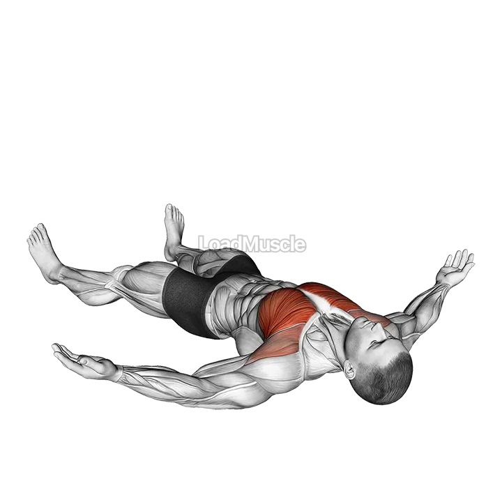 Lying Floor Fly demonstration