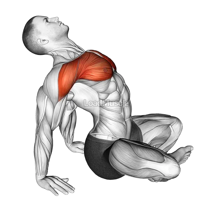 Seated Sky Look demonstration