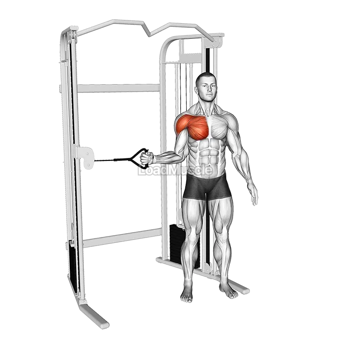 Cable Shoulder Internal Rotation demonstration