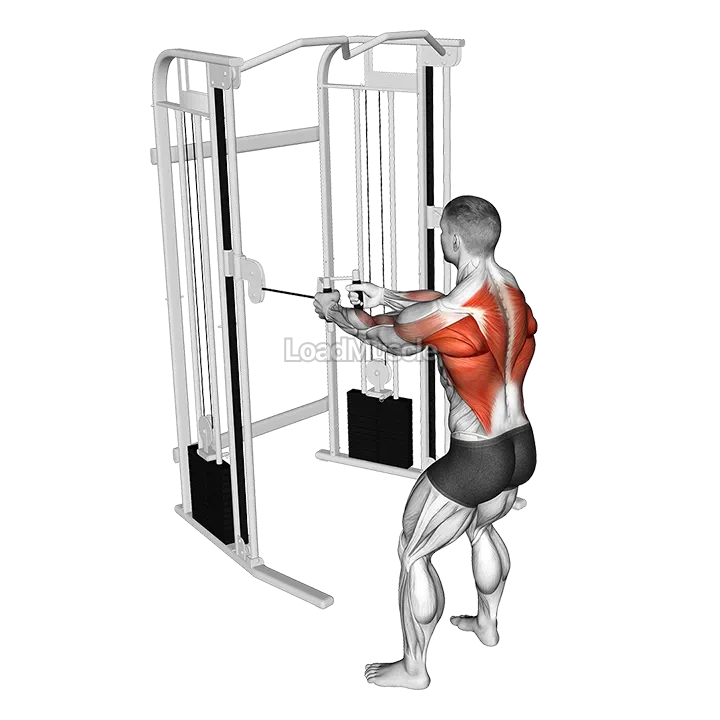Cable Standing Row demonstration