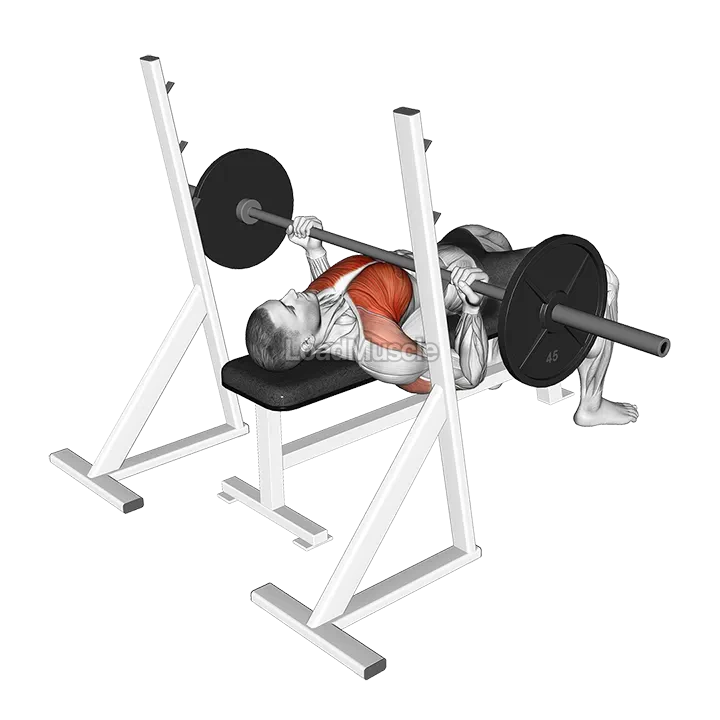 Barbell Reverse Grip Bench Press demonstration