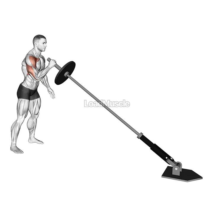 Landmine Single Arm Press demonstration