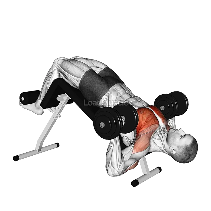 Dumbbell Single Arm Alternate Decline Bench Press demonstration