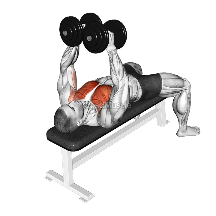 Dumbbell Single Arm Alternate Fly demonstration