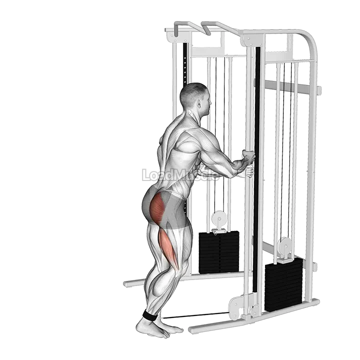 Cable Kickback demonstration