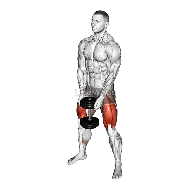 Dumbbell Sumo Squat demonstration