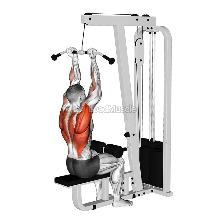 Cable Reverse Grip Pulldown demonstration