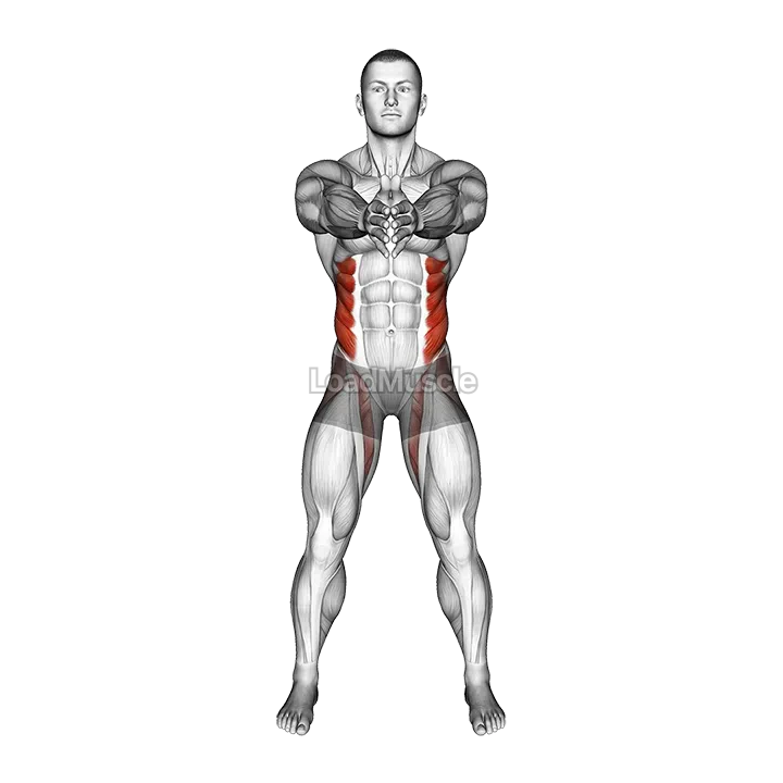 Standing Ab Twist demonstration