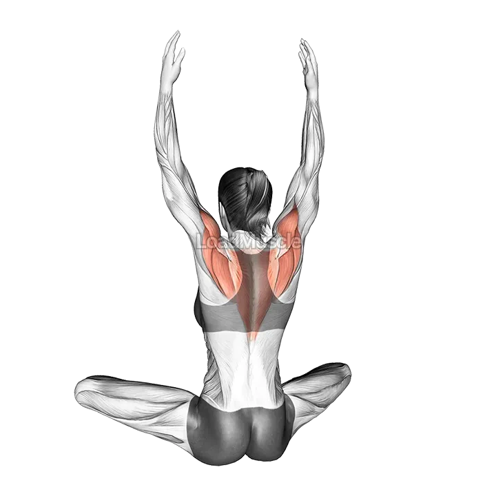 Seated Back Squeeze demonstration