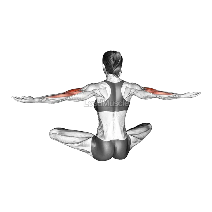 Seated Neck Tap demonstration