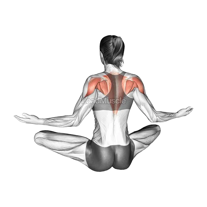 Seated Pulse Back Squeeze demonstration