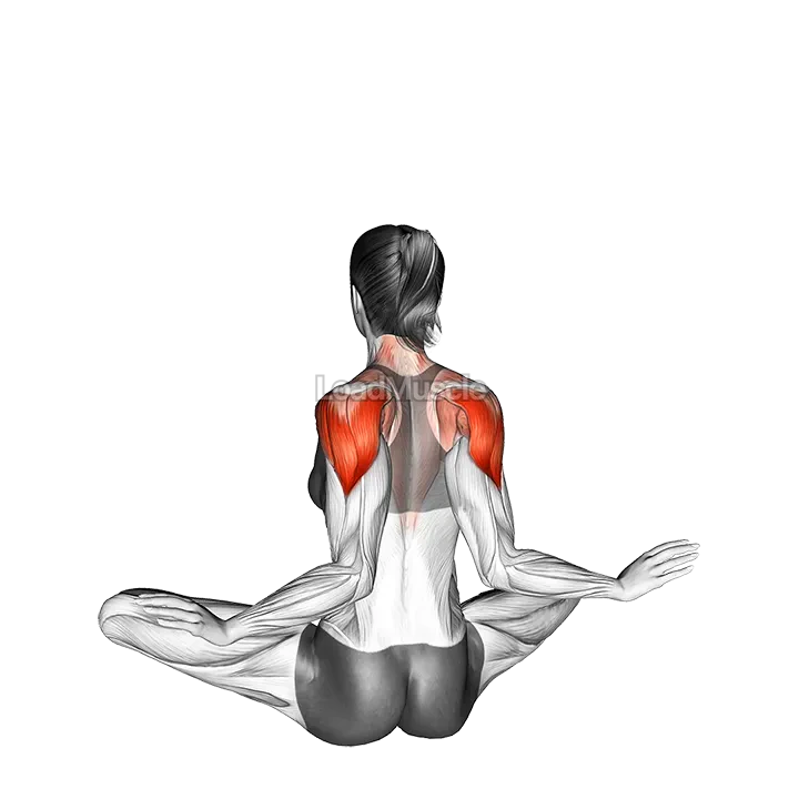 Seated Ballerina demonstration