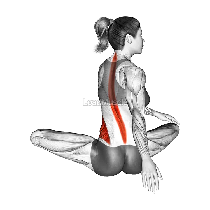 Seated Rotation Stretch demonstration
