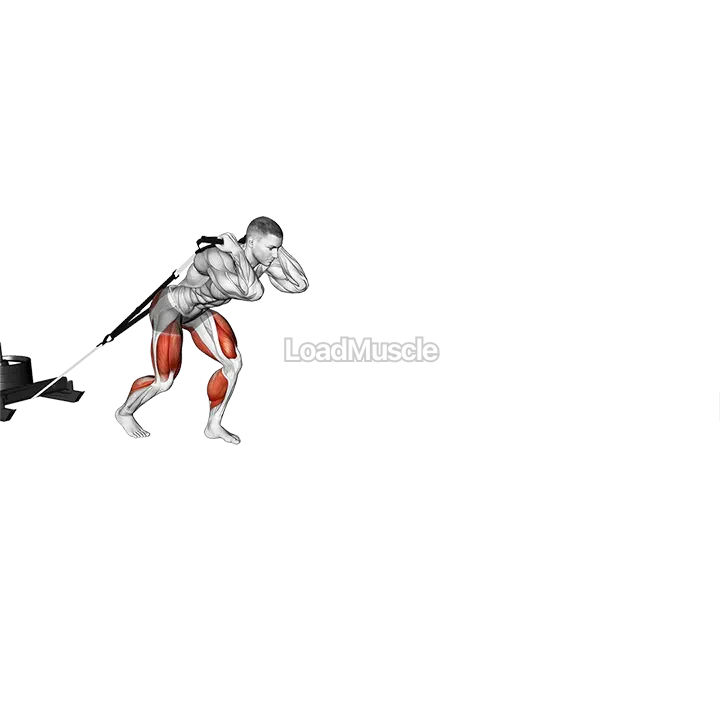 Power Sled Drag demonstration