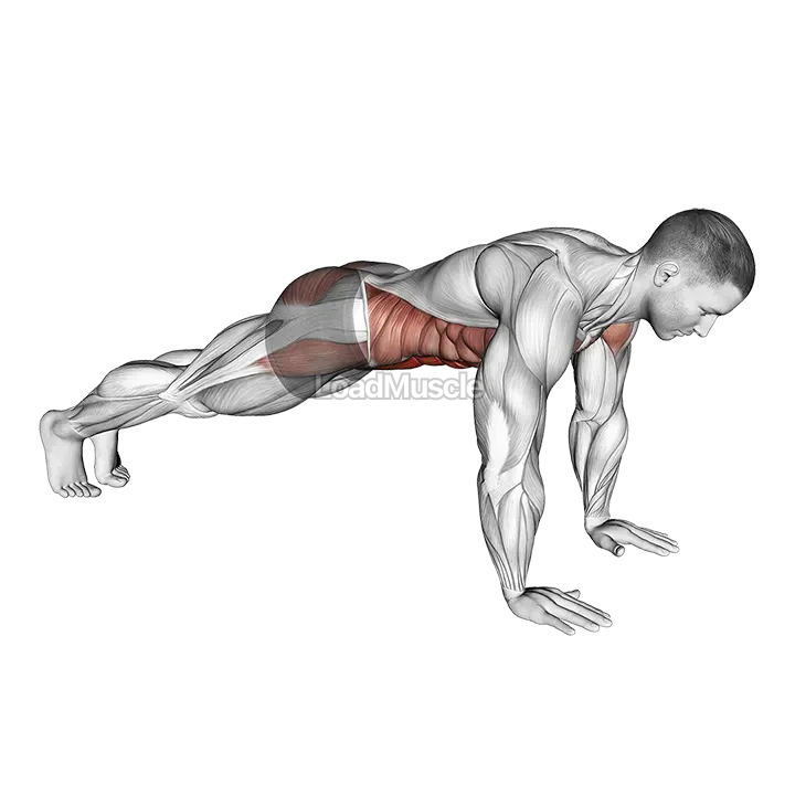 Plank on Hands demonstration