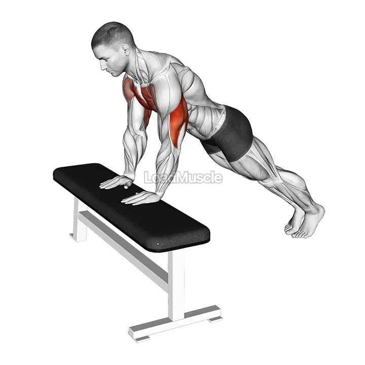 Incline Close Grip Push-up demonstration