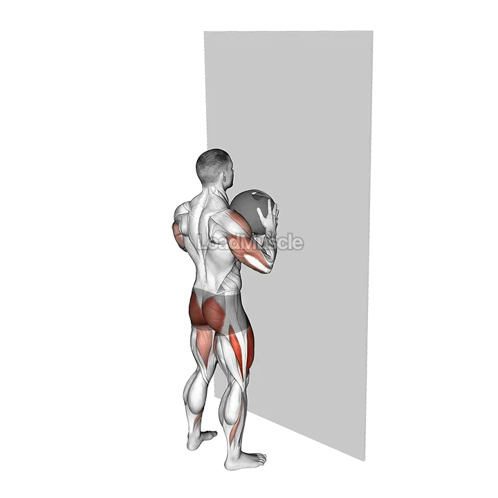 Medicine Ball Throw Squat with Wall demonstration
