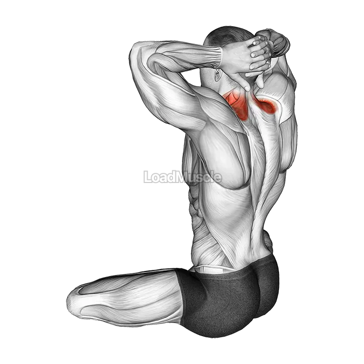 Seated Neck Stretch demonstration