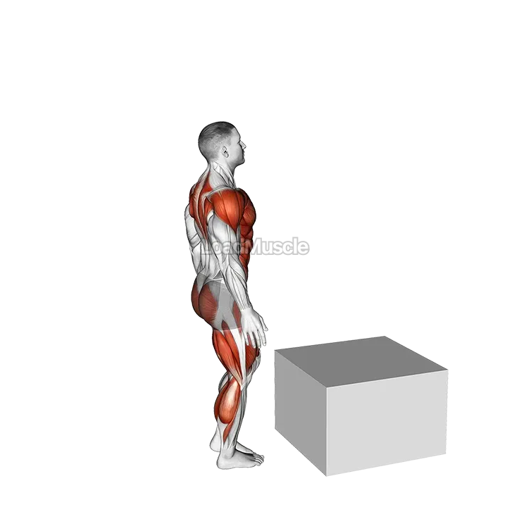 Single Leg Box Jump demonstration