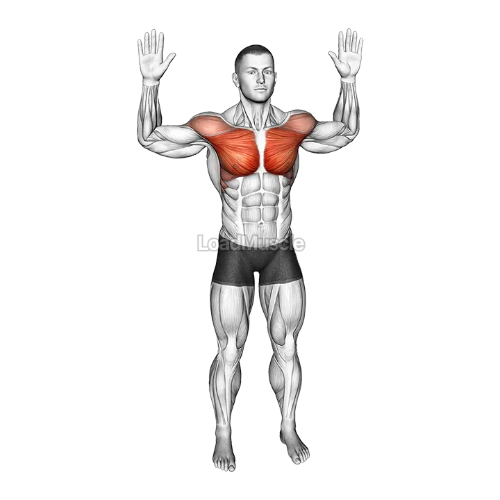 Bodyweight Standing Fly demonstration