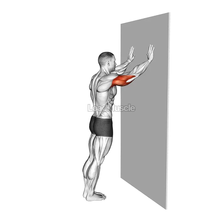 Wall Pulse demonstration