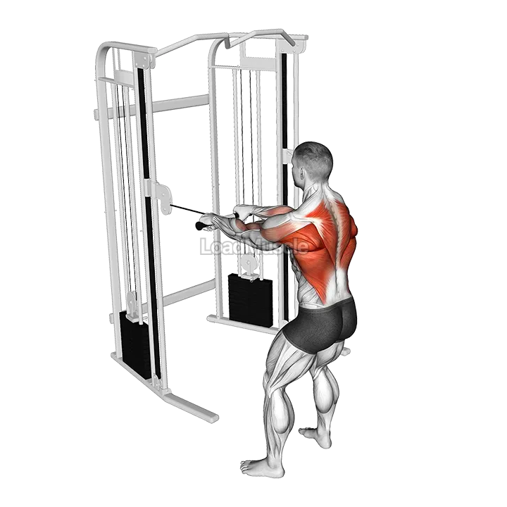 Cable Standing Close Grip Row demonstration