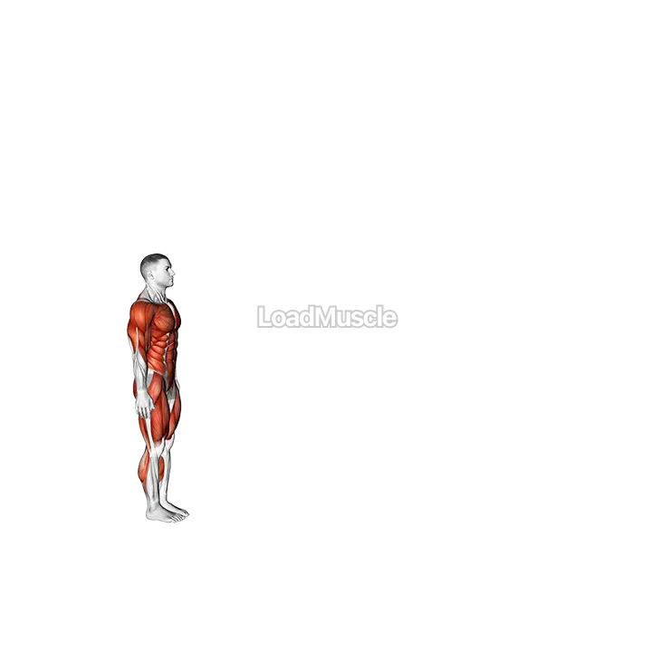 Burpee Long Jump with Push-up demonstration