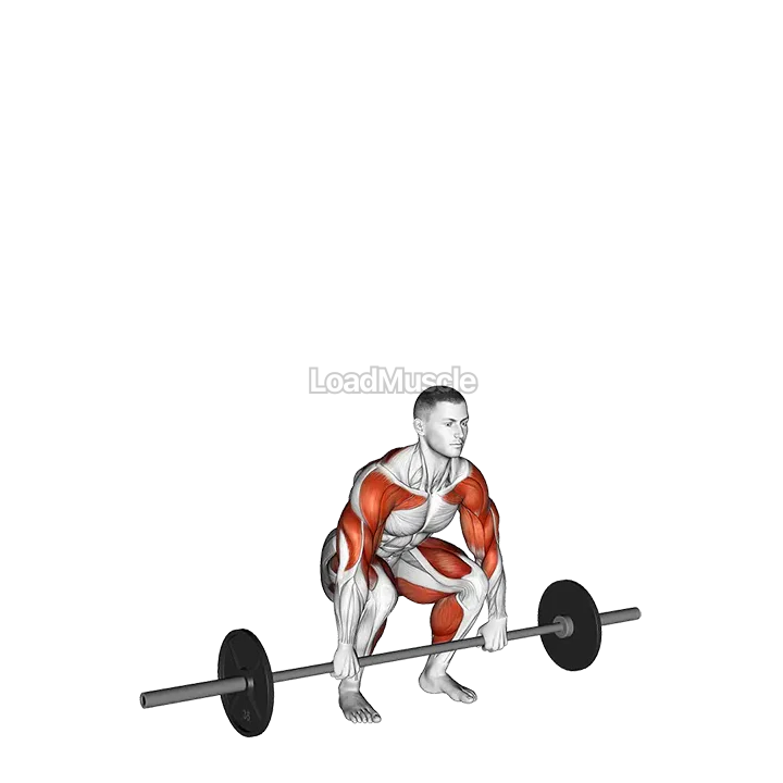 Barbell Clean and Jerk demonstration