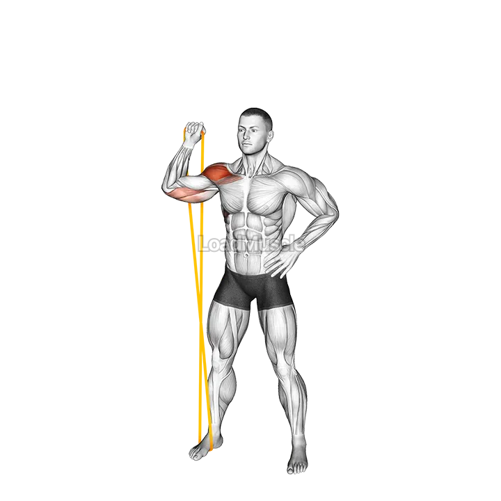 Resistance Band Single Arm Overhead Shoulder Press demonstration
