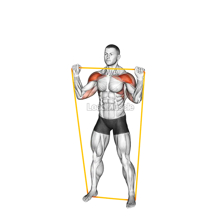 Resistance Band Overhead Shoulder Press demonstration