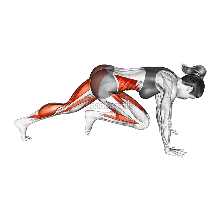 Mountain Climber demonstration