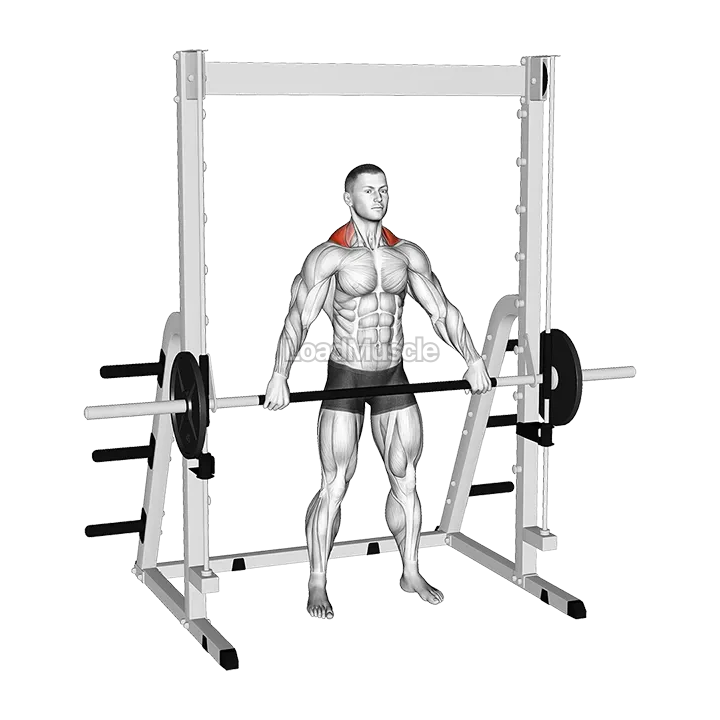 Smith Wide Shrug demonstration