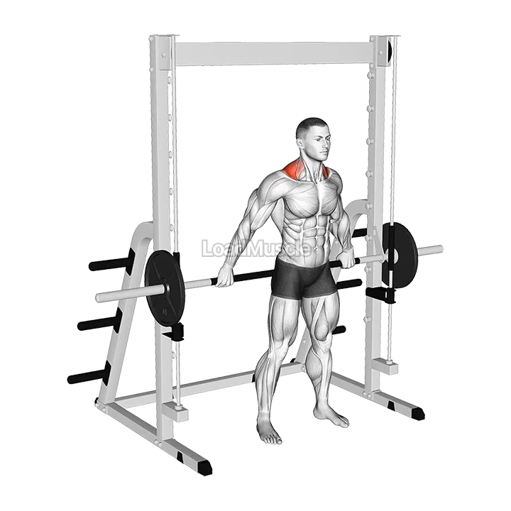 Smith Back Wide Shrug demonstration