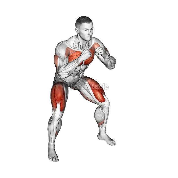 Cross Body Punch in Squat Position demonstration