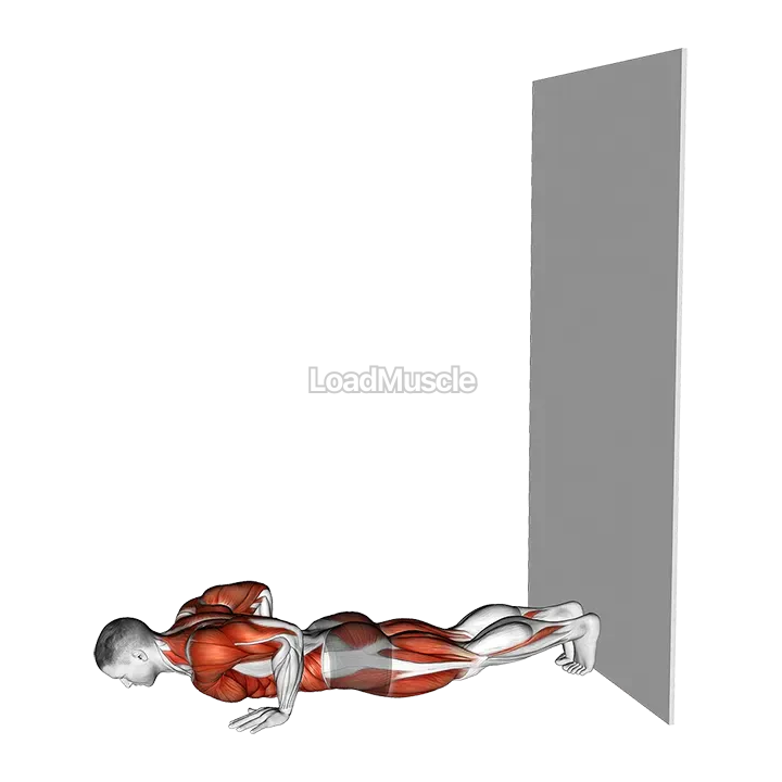 Wall Walks demonstration