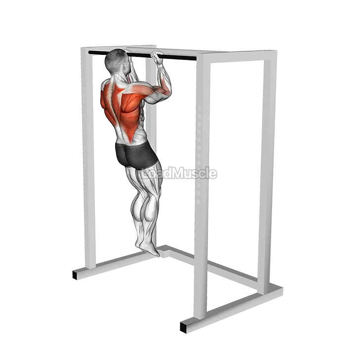 Bent Arms Chin-up demonstration