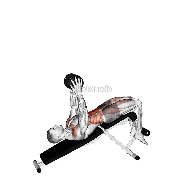 Single Dumbbell Decline Overhead Sit-up demonstration