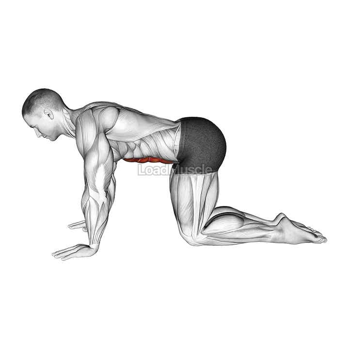 Kneeling Abdominal Draw-In demonstration