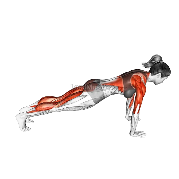 Downward Facing Dog demonstration